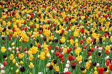 像英雄一样战斗 《使命召唤19》联动《黑袍纠察队》实机预告